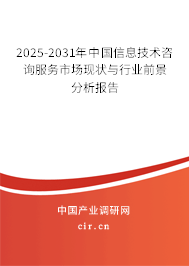 2025年信息技術咨詢服務的前景趨勢